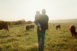 Foto:  Mädchen und Vater spazieren über ein Feld