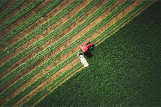 Foto: Traktor mäht grünes Feld